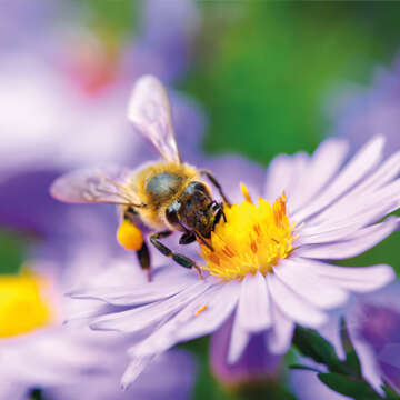 Gartenbedarf 360x360